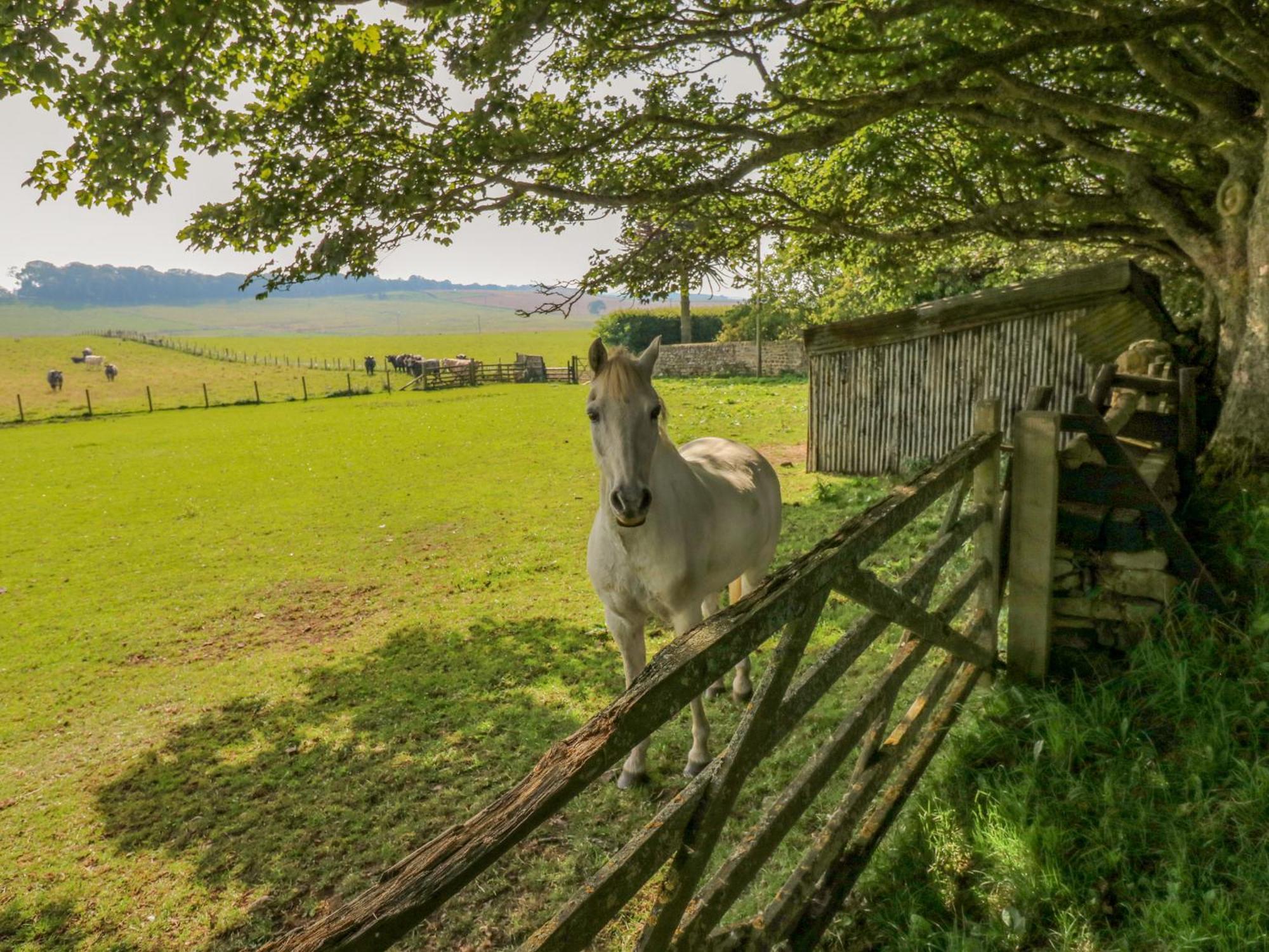 Todridge Barn * Newcastle upon Tyne