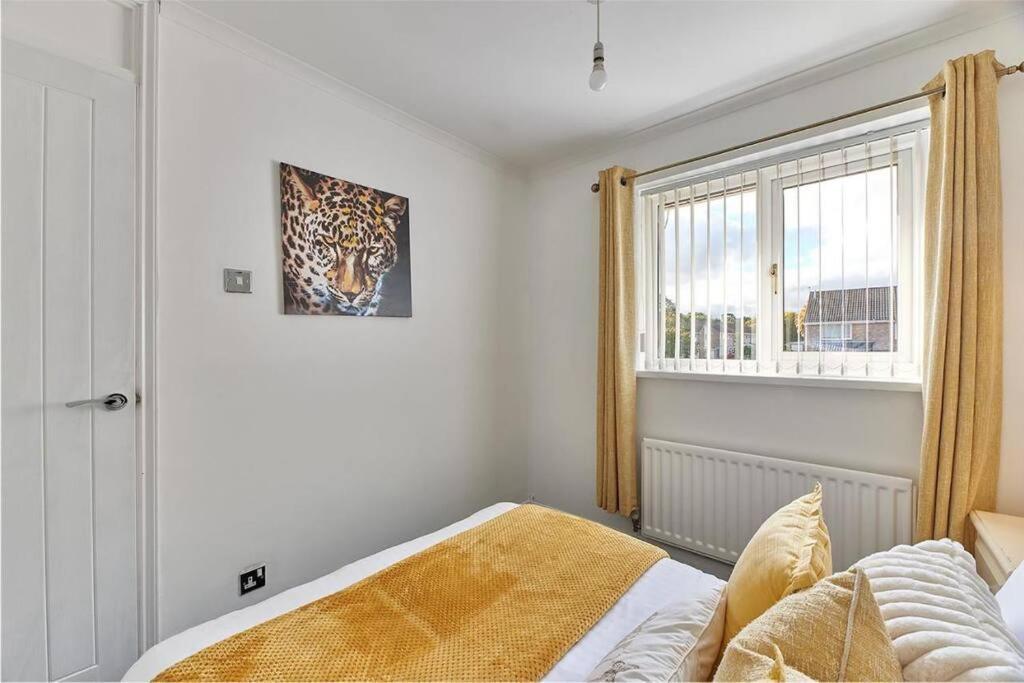 Long Stays - Cosy 3Br - Newcastle Retreat - Rvi & City Centre - Garden - Parking - Near High Street