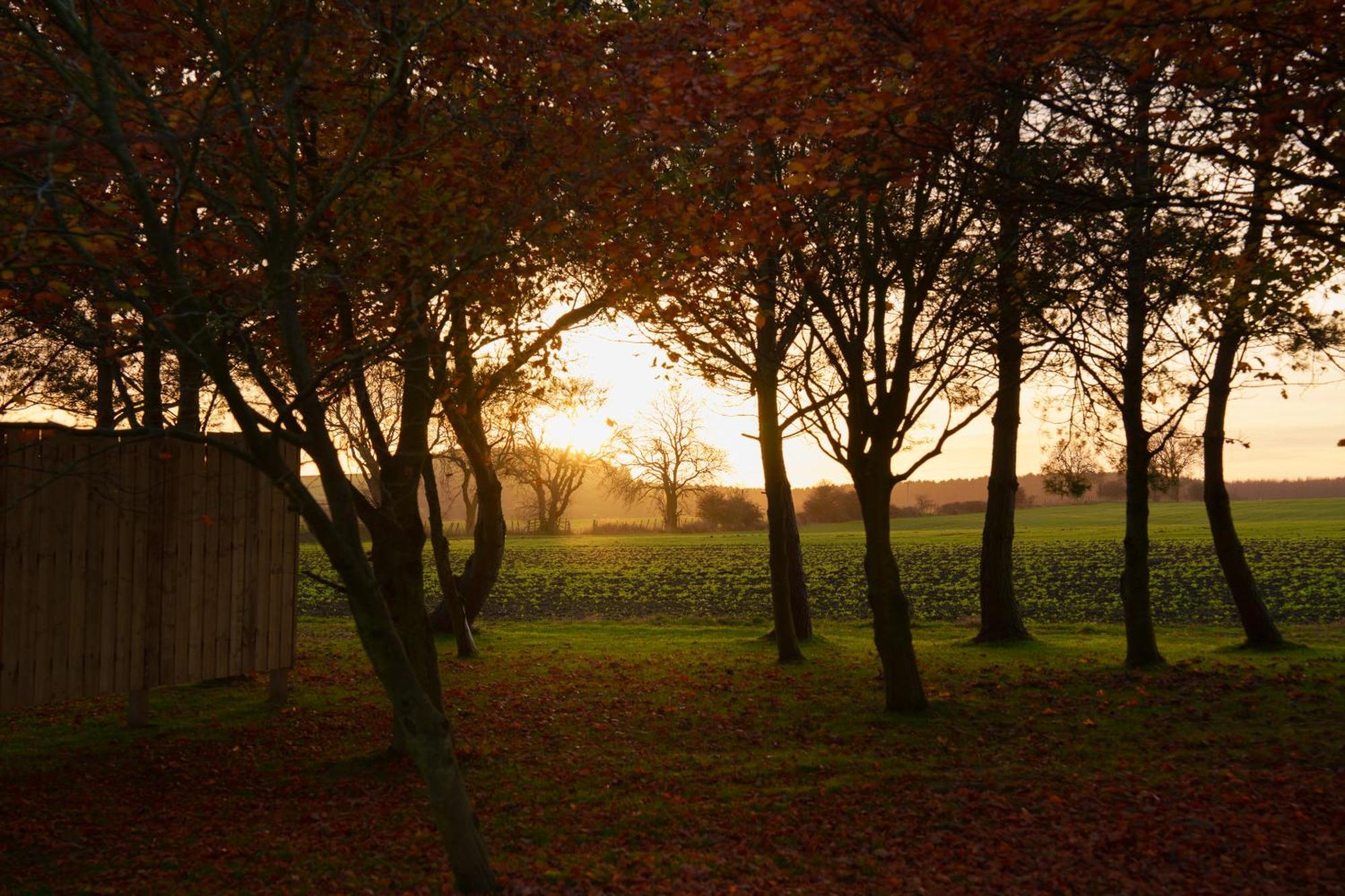 Hygge At Vallum *