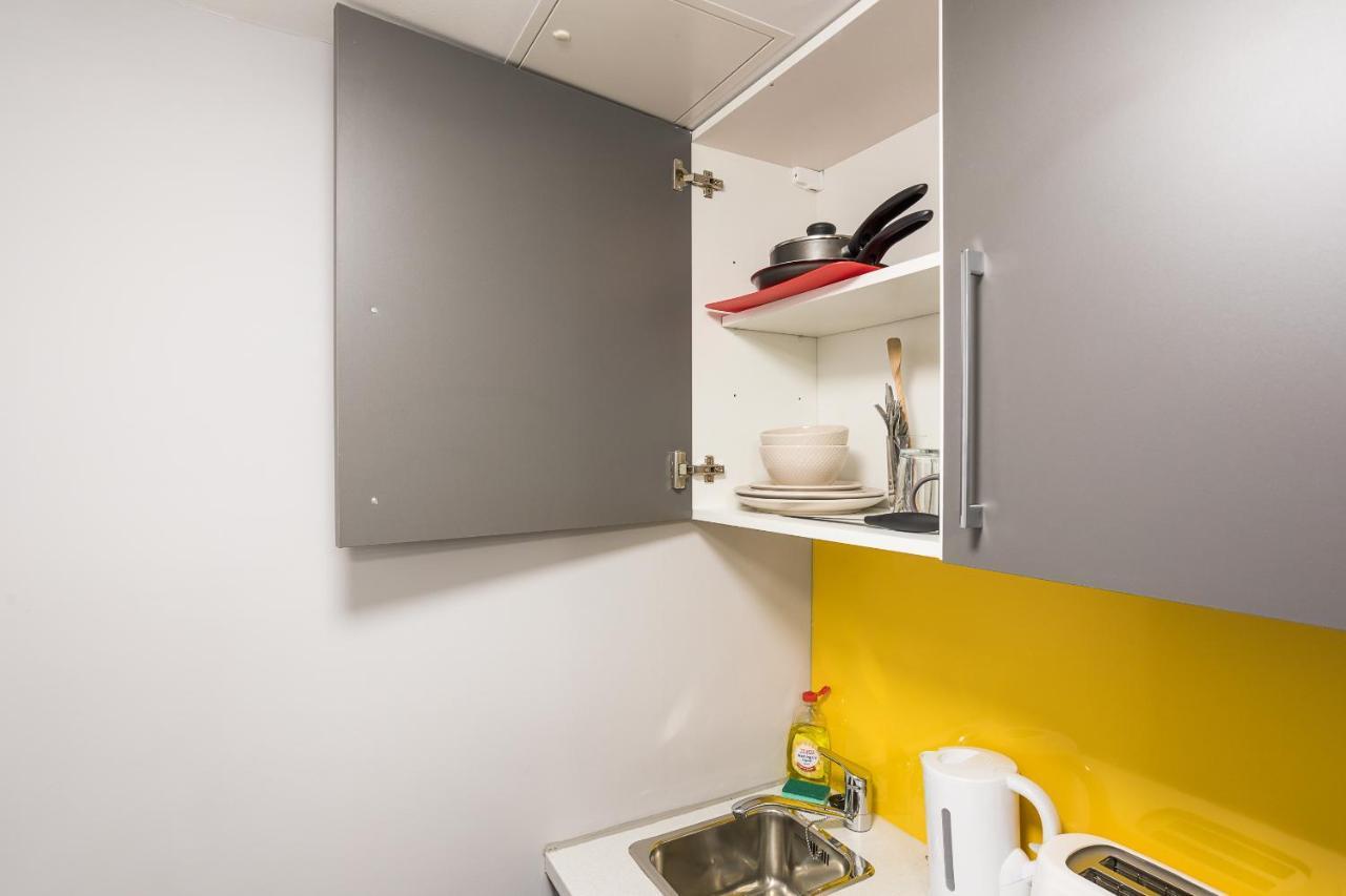 Luxurious Sk Apartment