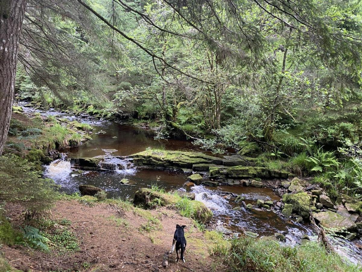 - - Hadrian's Dark Sky Outpost. Holiday home Newcastle upon Tyne