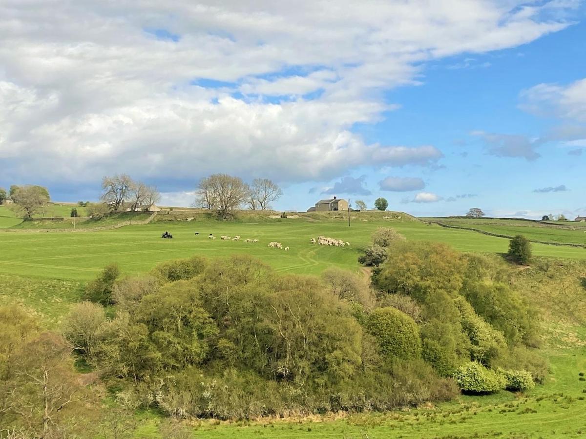 Holiday home - - Hadrian's Dark Sky Outpost. *