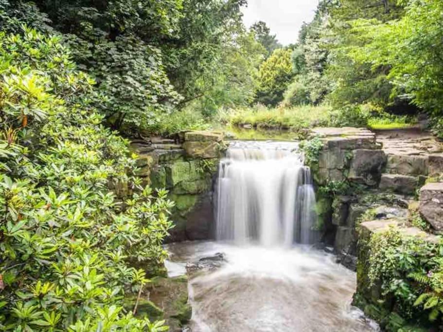 Amazing, Cosy 2 Bedroom Jesmond *