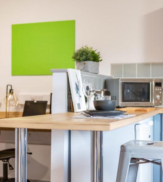 Zeni Studio Newcastle Marshall Court Apartment Newcastle upon Tyne