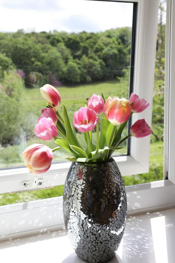 Apartment Beautiful Cozy 3 Bedroom 2 Bathroom Newcastle upon Tyne