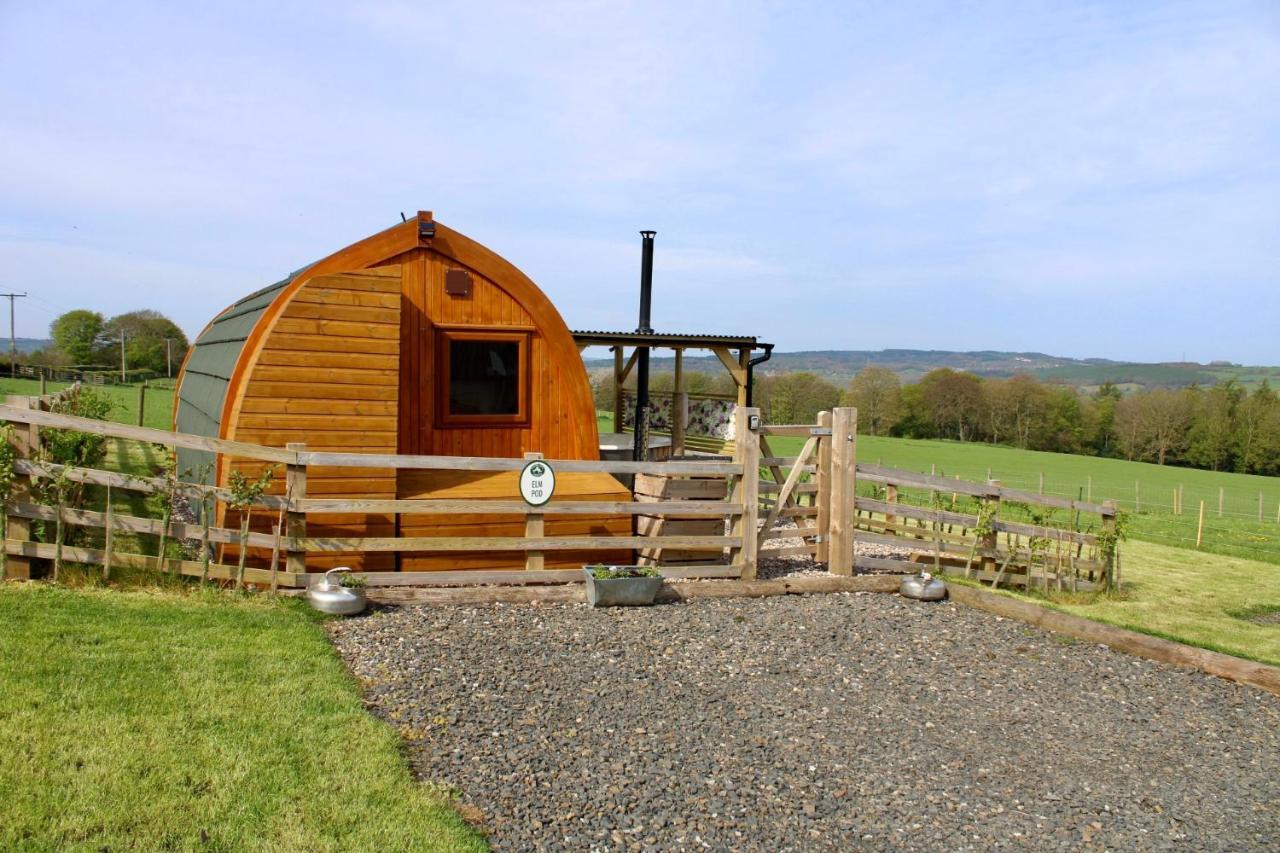 West Wood Yurts Ltd *