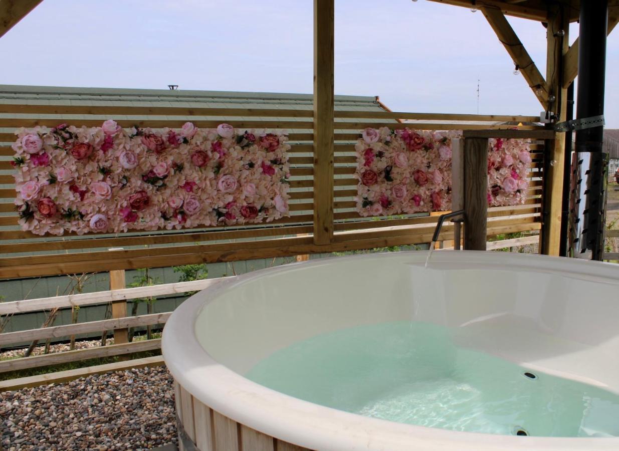 Campsite West Wood Yurts Ltd